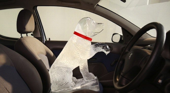 Какво не бива да забравяме в колата, когато навън е 40-градусова жега