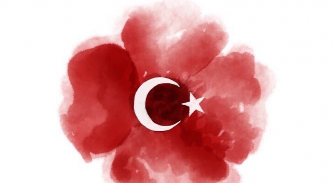 Червен мак с полумесец и звезда - символът на атентатите в Истанбул (снимки+обновена)