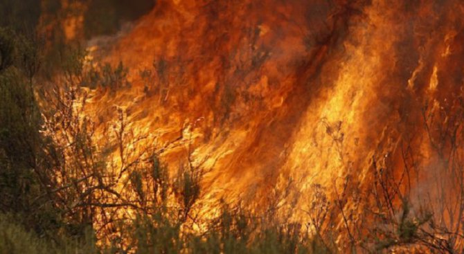Евакуация в Южна Франция заради горски пожар