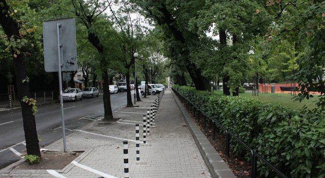 Кон кръстосва по улиците на София (снимка)