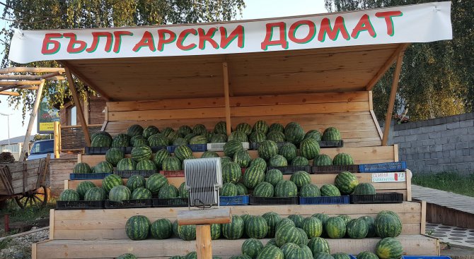 Търговци измислиха нов сорт български домат