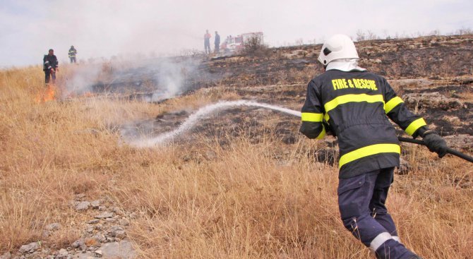 Локализиран е пожарът в Хасковско