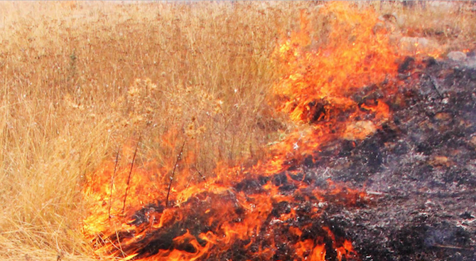 Близо 800 декара сухи треви и храсти са изгорели в Ловешка област за денонощие