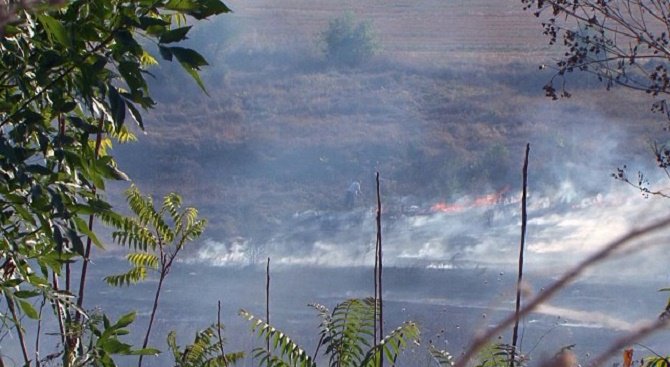 Огнеборци гасят голям пожар в Добрич