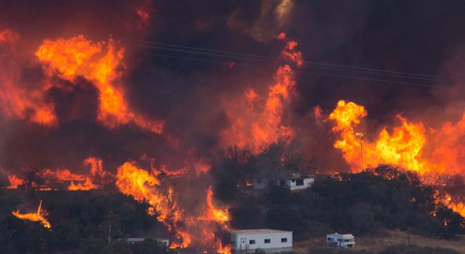В Калифорния отмениха заповедта за евакуация заради горските пожари
