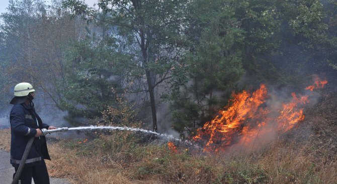 Единият фронт на пожара край Тополовград е потушен