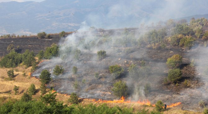 Локализиран е пожарът в община Ивайловград