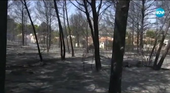Огромен горски пожар бушува в Испания