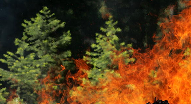 Къмпингуващи са предизвикали огромен пожар край Варвава