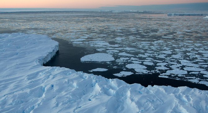 В Антарктическия океан създават най-големия морски резерват