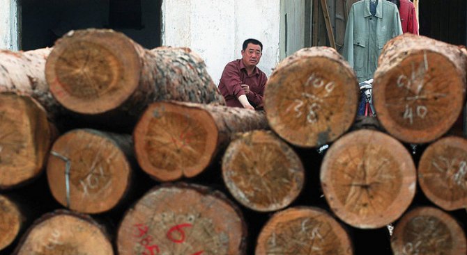 В област Кърджали осигуриха дърва за огрев, не очакват криза