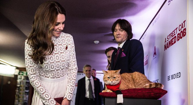 Кейт Мидълтън погали най-известната котка
