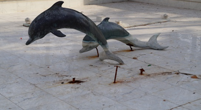 Вандали изпотрошиха делфините в центъра на Търговище