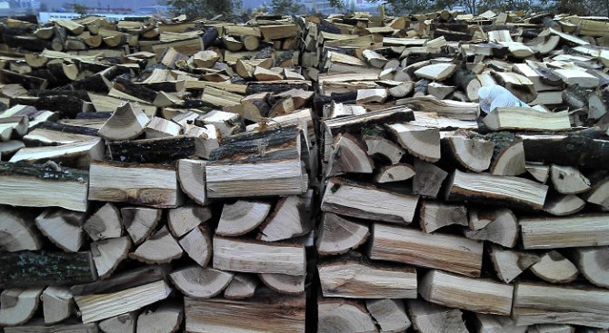 Засечен е нерегламентиран добив на дърва в Брезнишко