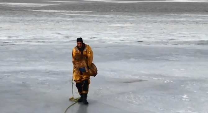 Спасиха куче от замръзнало езеро в САЩ (видео)