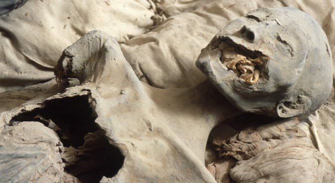 Учени дешифрират ДНК на едни от най-старите мумии в света