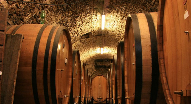 Единственият пещерен музей на виното е в Плевен