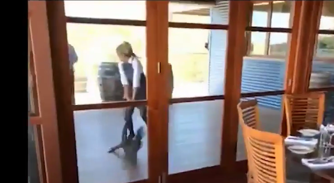 Келнерка сграбчи голям гущер за опашката и го изхвърли от заведение (видео)