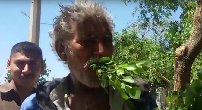 Пакистанец се храни с листа и кора от дървета (видео)