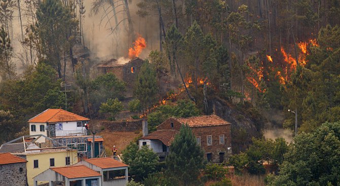 Огненият ад в Португалия има &quot;криминален произход&quot;