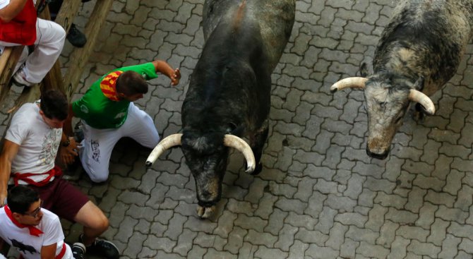 Трима души пострадаха при първото пускане на биковете в Памплона (снимки)