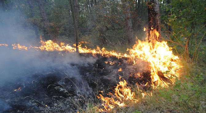 Голям горски пожар гори в землището на село Стара Кресна