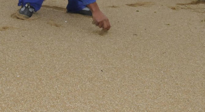 Малки топчета втвърден мазут по плажовете в Несебър и Равда