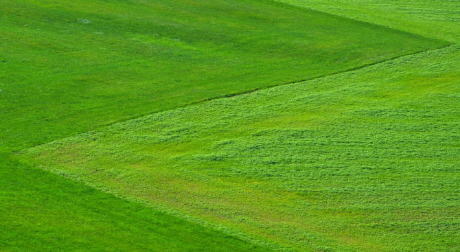 Обработват тревните площи в Димитровград