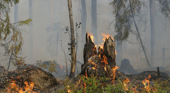 Рискът за разрастване на огъня в Тополовградско е голям