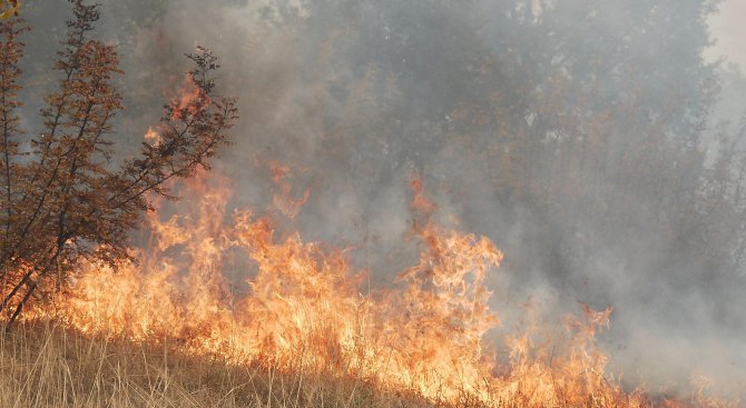 Всички пожари в Хасковска област са локализирани