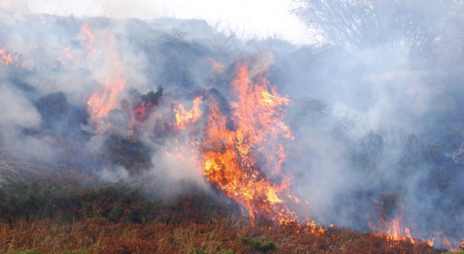 Отново се разгоря пожарът в Ямболско