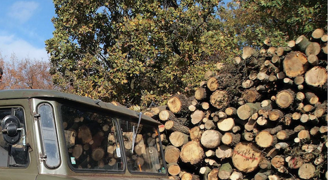 Горски инспектори от РДГ Пловдив задържаха дърва без горска марка