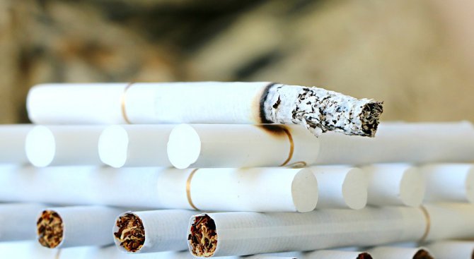 Полицаи иззеха над 9 хиляди къса контрабандни цигари край Бургас