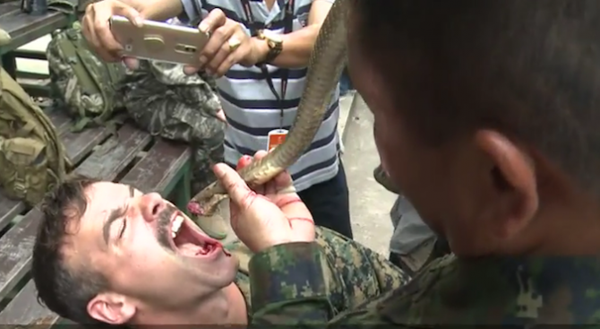 Американски и тайландски пехотинци пиха змийска кръв по време на военни игри (видео)