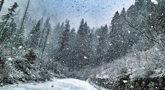 Силен снеговалеж във Видинско