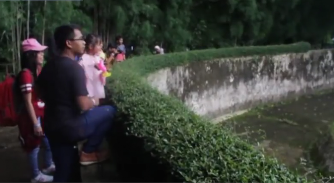 Искат арест за мъжа, дал цигара на орангутан в индонезийска зоологическа градина (видео)