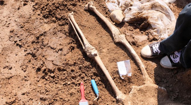 Гроб с костни останки откриха врачански археолози 