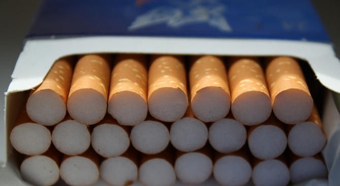 Откриха близо 20 000 къса контрабандни цигари в апартамент в Сливен  