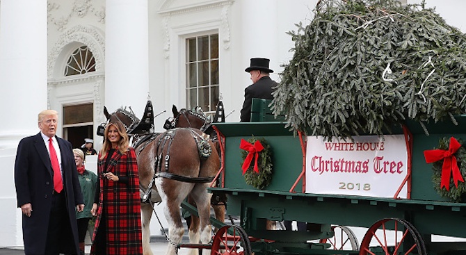 В Белия дом бе доставено коледното дърво (снимки)