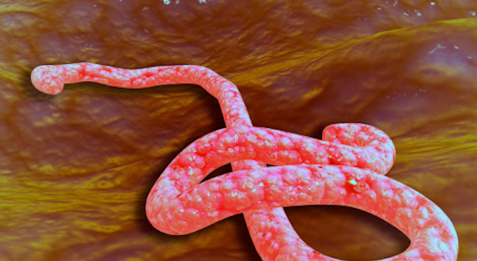 Нараства броят на новите случаи на заболявания от ебола в Конго 