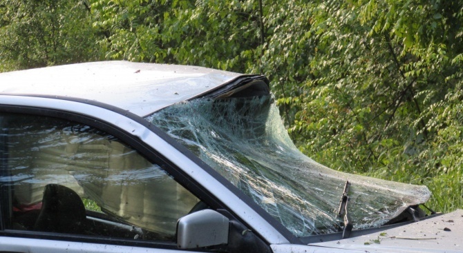 Шофьор заби колата си в крайпътно дърво в Златица