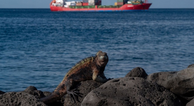 Събраха близо 4,5 млн. тона боклуци от островите Галапагос 