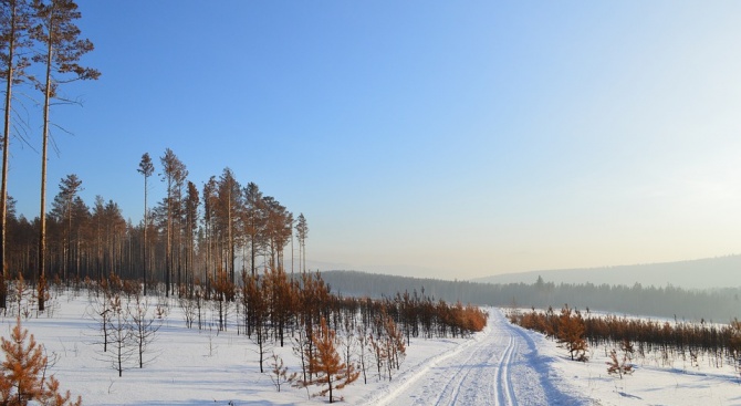 Разследват защо в Сибир вали черен сняг
