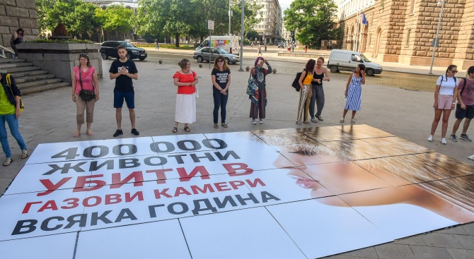 Пореден протест в София с искане за забрана на фермите за ценни кожи