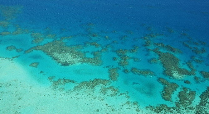 Учени: Перспективите за Големия бариерен риф са "много лоши"