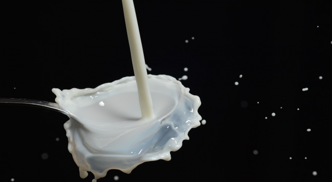 Учени откриха най-старото пряко доказателство за консумация на мляко