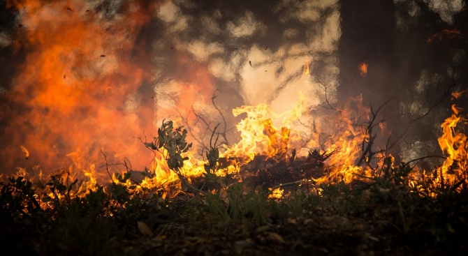 500 дка гора изгоря при пожар в Шуменско 