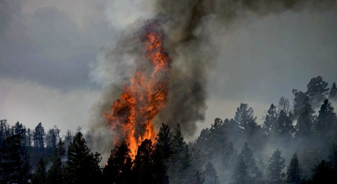 Още един горски пожар бушува в Благоевградско