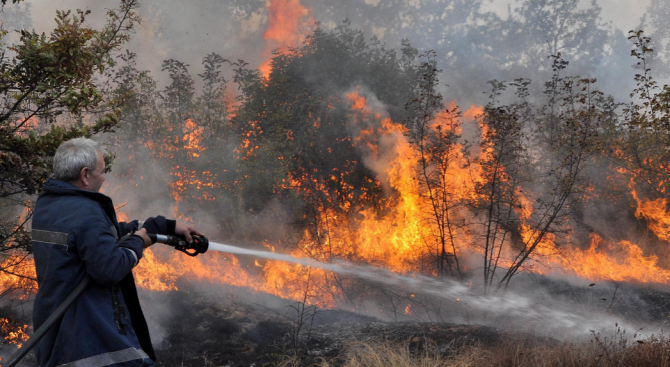 Последна информация за пожара в Стара планина