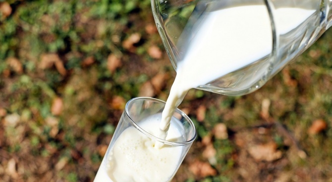 Ръст в производството на мляко и млечни продукти тази година 